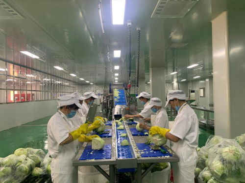 赣供源公司 为上万名学生营养餐保驾护航的幕后英雄